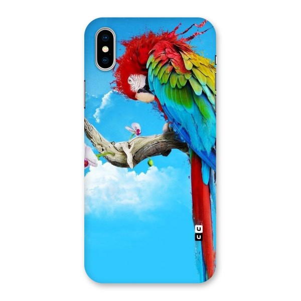 Sky Parrot Back Case for iPhone X