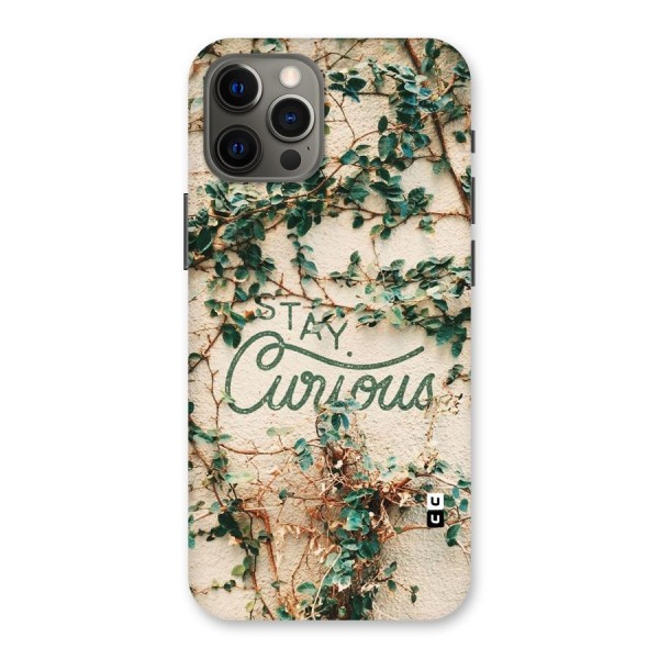 Stay Curious Back Case for iPhone 12 Pro Max