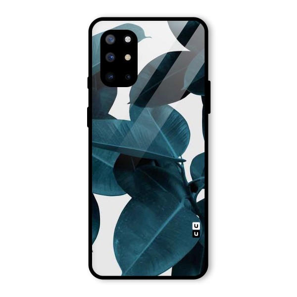 Very Aesthetic Leafs Glass Back Case for OnePlus 8T
